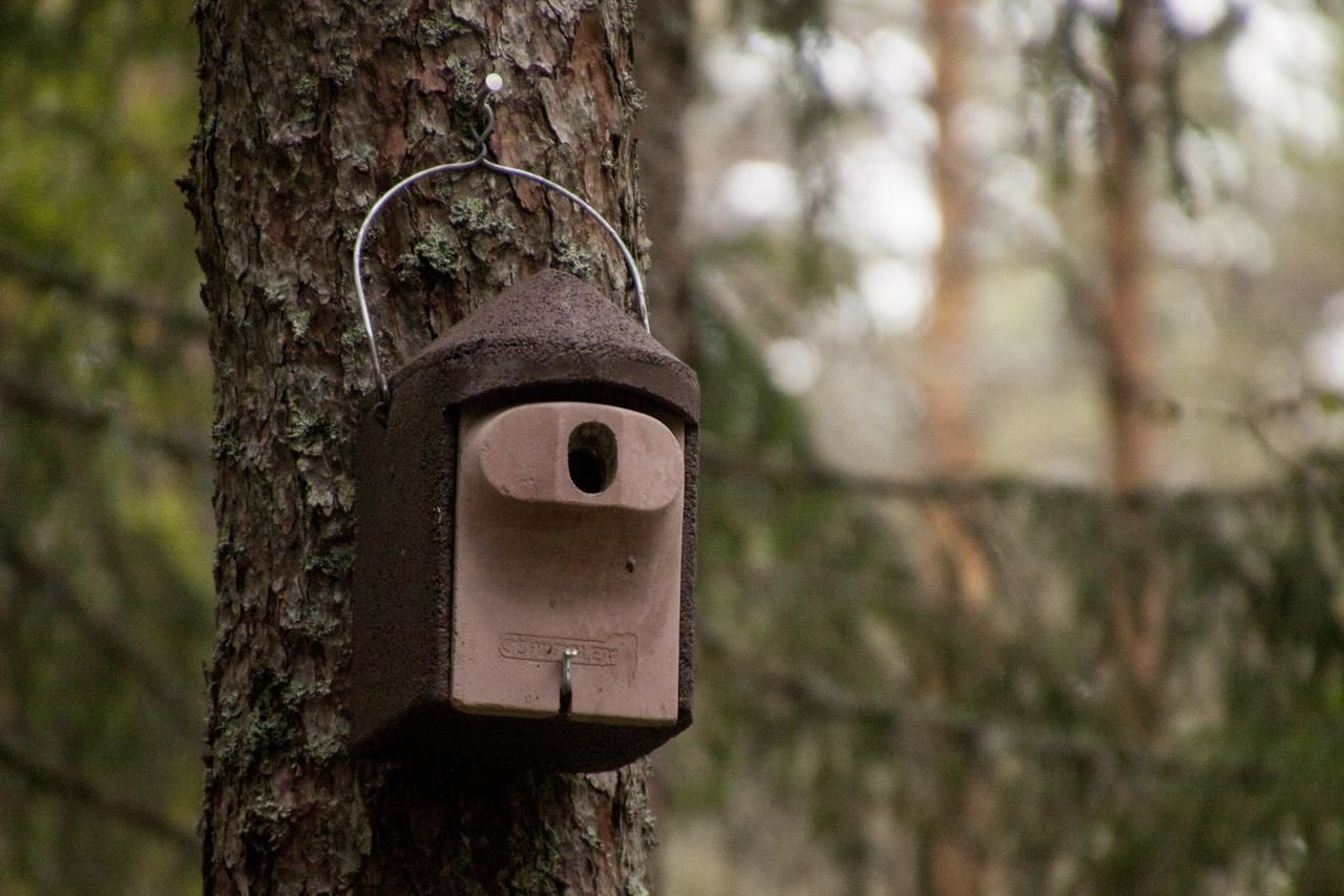 Дома для отпуска Pullijärve Holiday Park Миссо-6