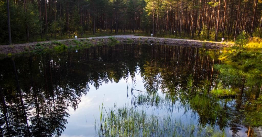 Дома для отпуска Pullijärve Holiday Park Миссо